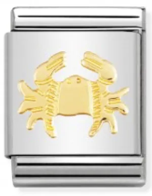 BIG Link - Cancer in Gold Charm