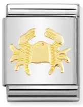 BIG Link - Cancer in Gold Charm