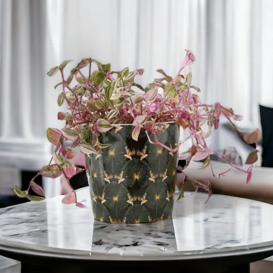 Black & Gold Ginkgo Print Plant Pot