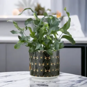 Black & Gold Ginkgo Print Plant Pot