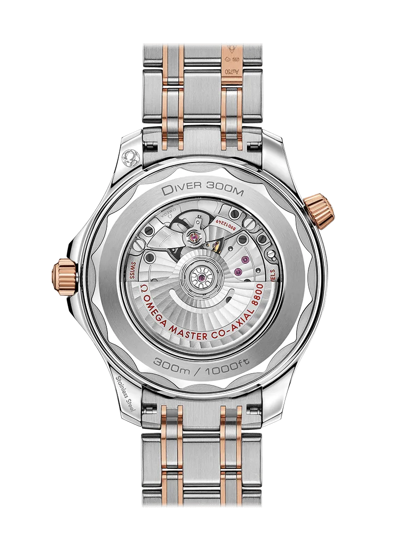 Diver 300M Co-Axial Master Chronometer 42mm