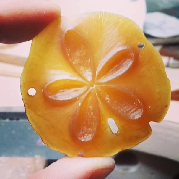 Friends ~ Sand Dollar (Small) Bangle