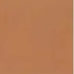 Mohawk Amber/Amber Oak SWP Fil-Stik