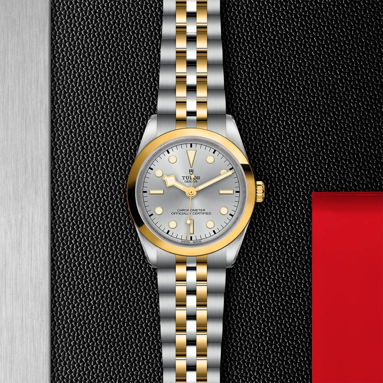TUDOR Black Bay 36 S&G